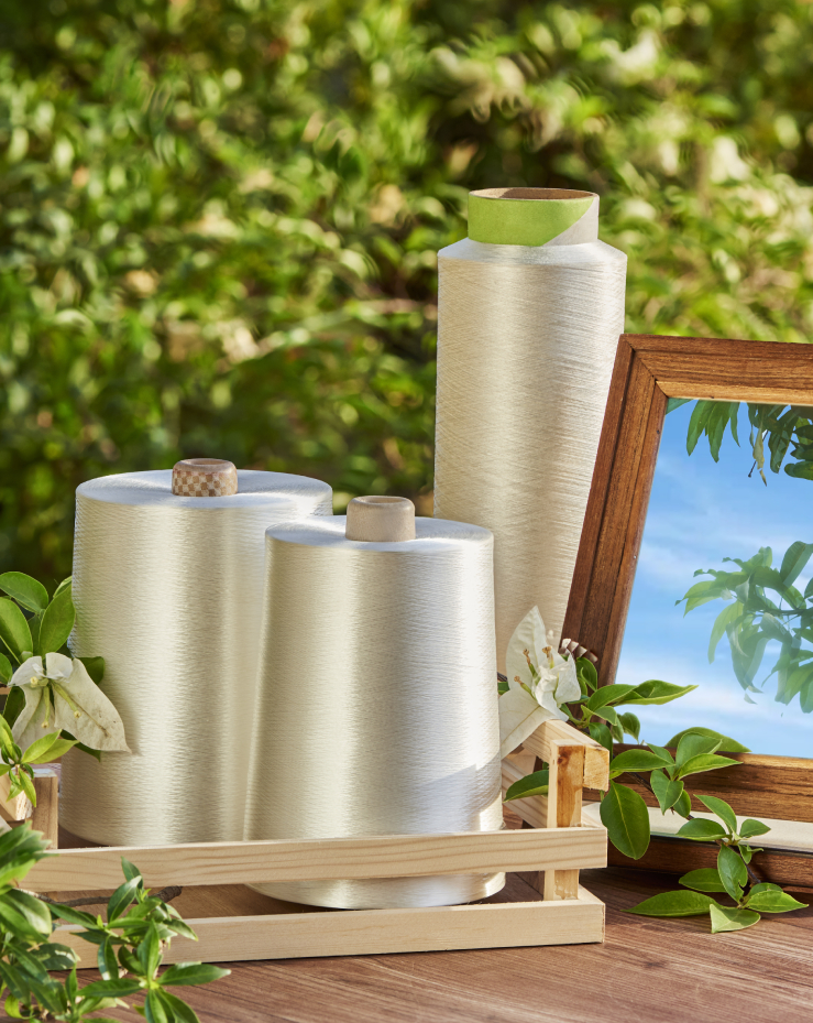 Sustainable Fashion Concept